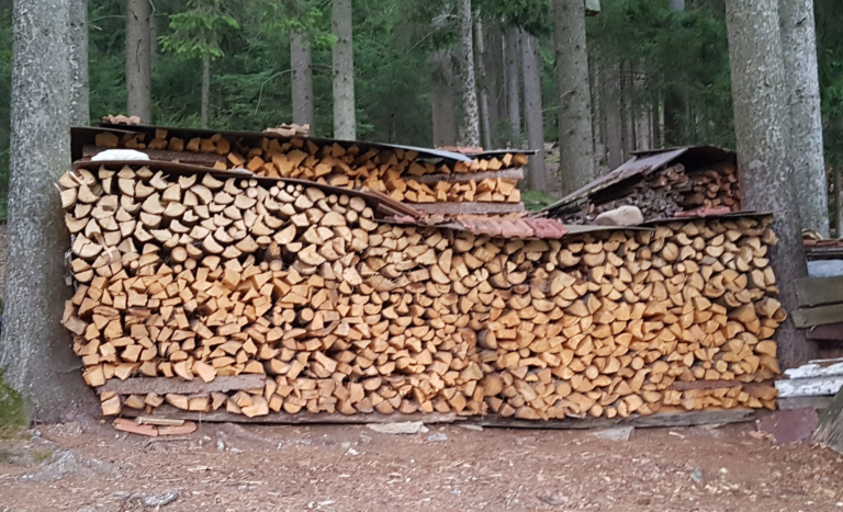 Preise vergleichen: Beim Kauf von Brennholz auf die Maßeinheit achten